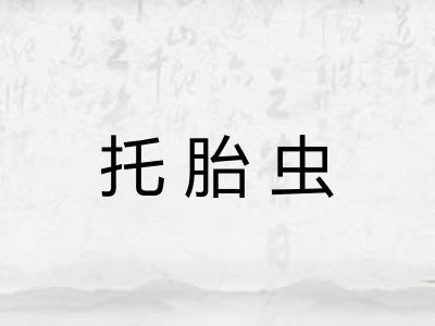 托胎虫 托胎虫