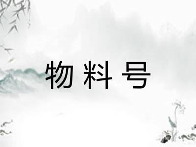 物料号 物料号