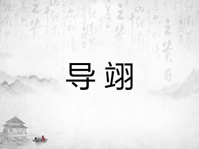 导翊