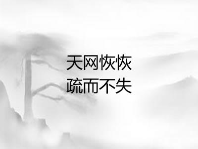 天网恢恢疏而不失