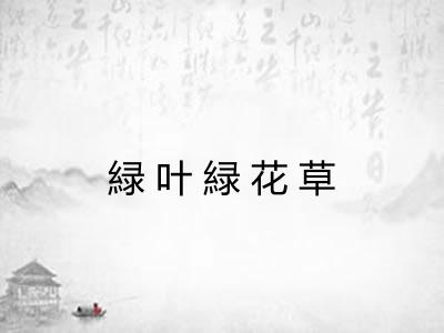 緑叶緑花草 緑叶緑花草