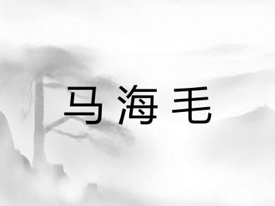 马海毛