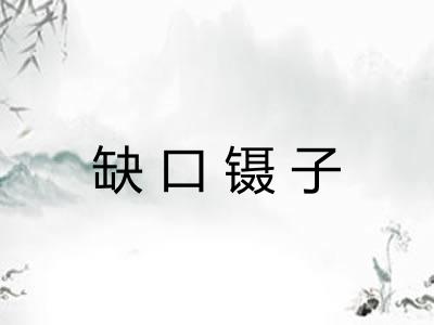 缺口镊子 缺口镊子