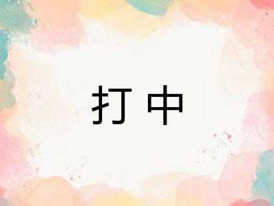 打中