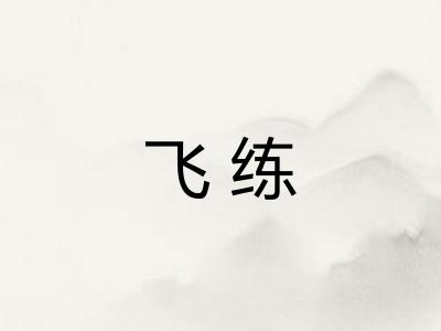 飞练
