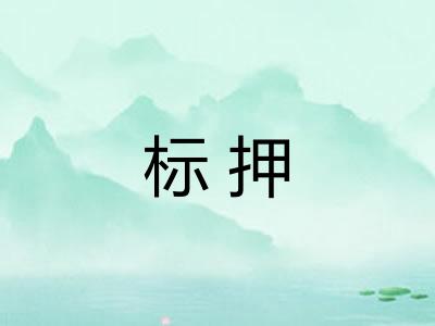 标押