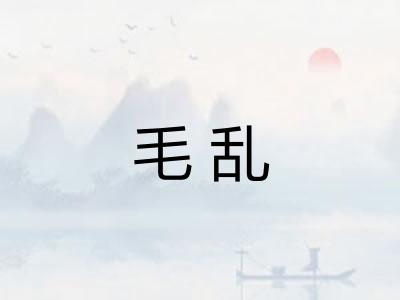 毛乱