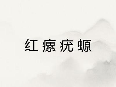 红瘰疣螈 红瘰疣螈