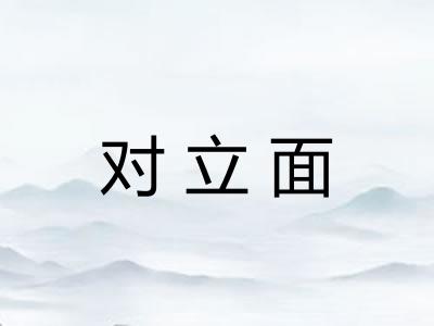 对立面