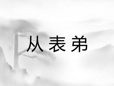 从表弟 从表弟