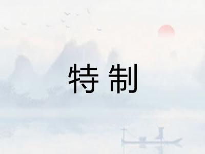 特制