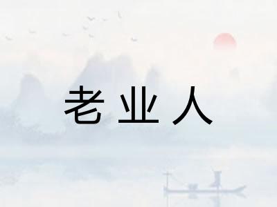 老业人