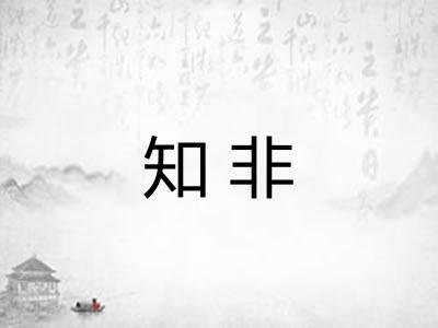 知非