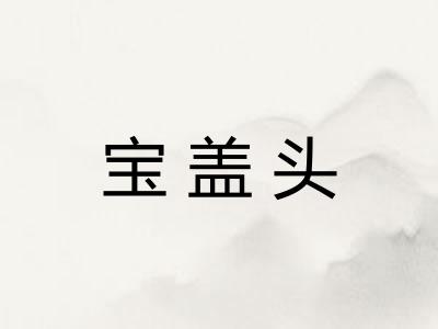 宝盖头 宝盖头