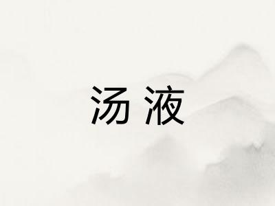 汤液 汤液