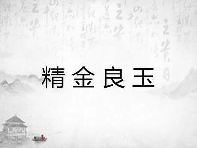 精金良玉