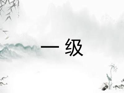 一级
