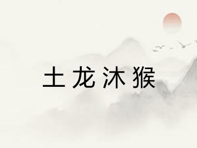 土龙沐猴 土龙沐猴