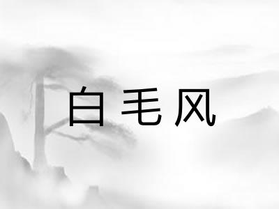 白毛风 白毛风