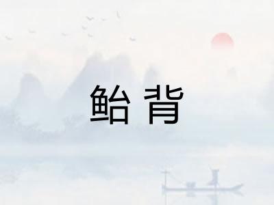 鲐背 鲐背