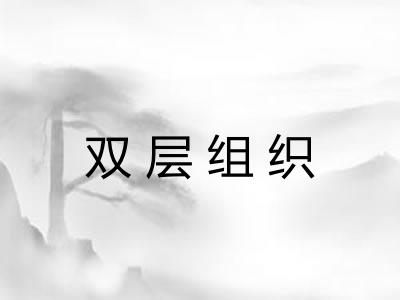 双层组织