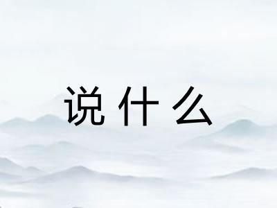 说什么