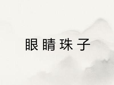 眼睛珠子 眼睛珠子