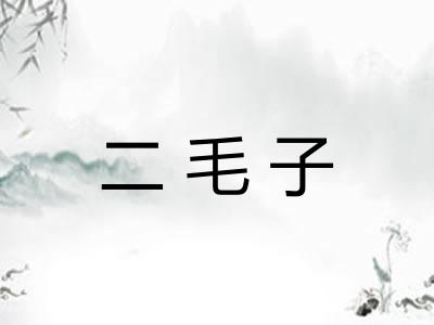 二毛子 二毛子