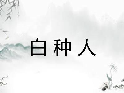 白种人