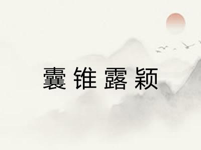 囊锥露颖 囊锥露颖