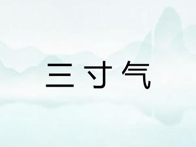 三寸气