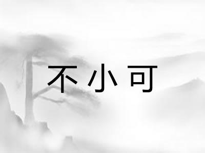 不小可