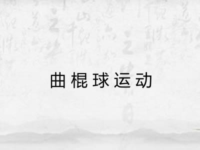 曲棍球运动