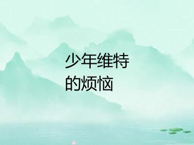 少年维特的烦恼