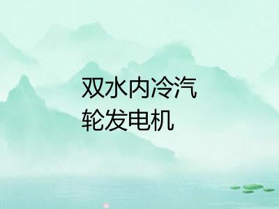 双水内冷汽轮发电机
