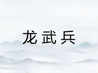 龙武兵