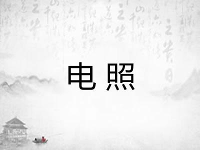 电照