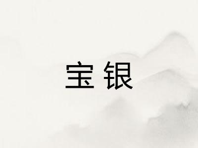 宝银