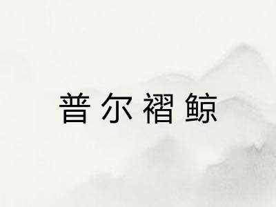 普尔褶鲸 普尔褶鲸