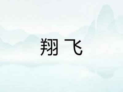 翔飞
