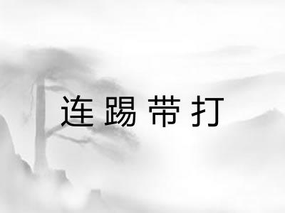 连踢带打