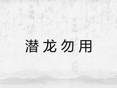 潜龙勿用 潜龙勿用