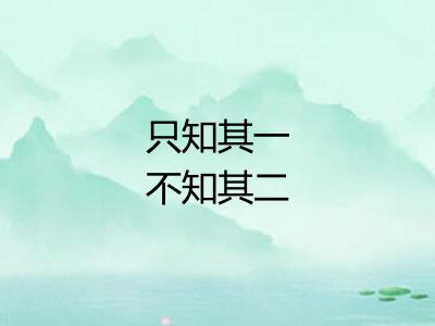只知其一不知其二