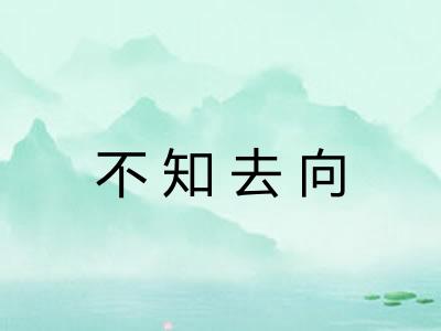 不知去向