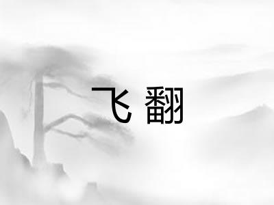 飞翻