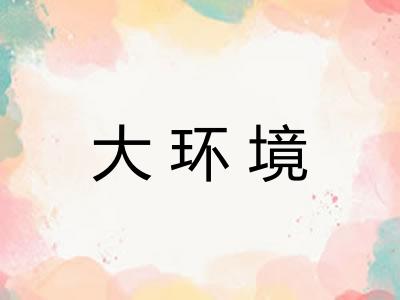 大环境