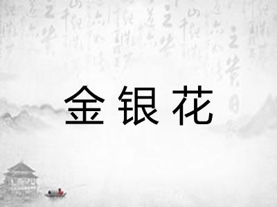 金银花 金银花