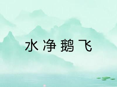 水净鹅飞 水净鹅飞