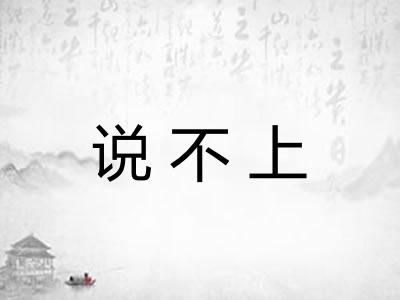 说不上