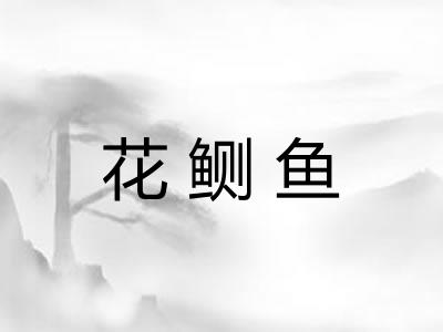 花鲗鱼